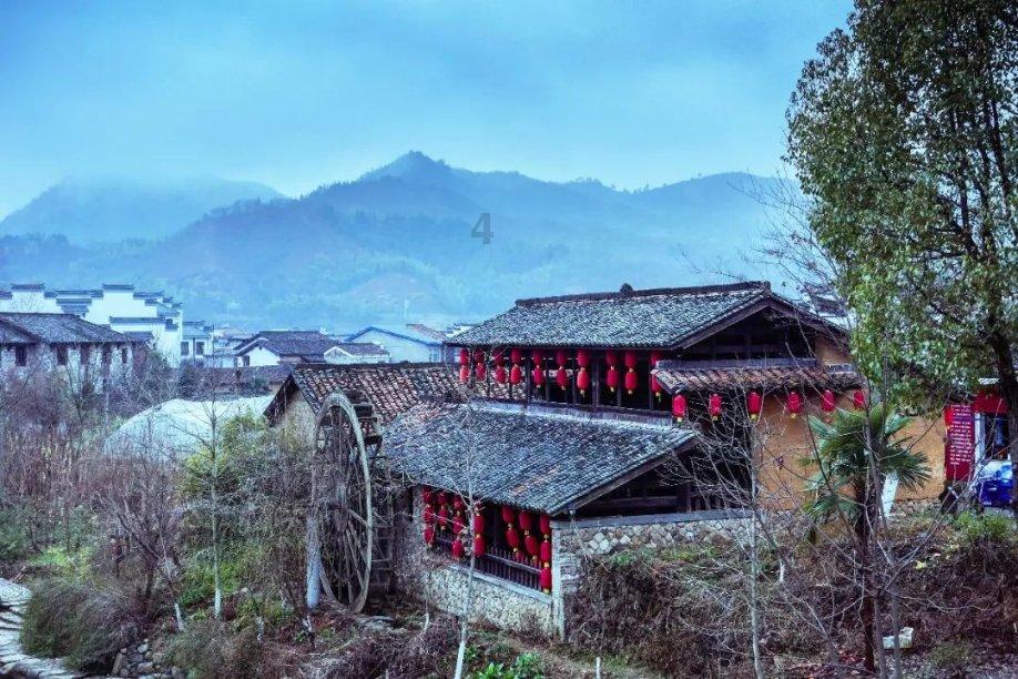 动物家园守卫战
